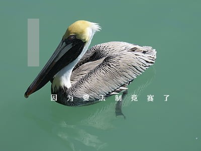 因为要法制竞赛了 因为要法制竞赛了