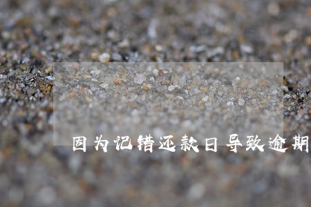 因为记错还款日导致逾期11次 因为记错还款日导致逾期11次