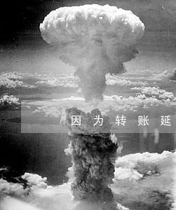 因为转账延迟信用卡逾期