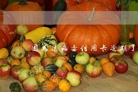 因为这病毒信用卡逾期了怎么办