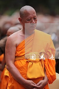 因为违法被拘留怎么可以保释出来 因为违法被拘留怎么可以保释出来