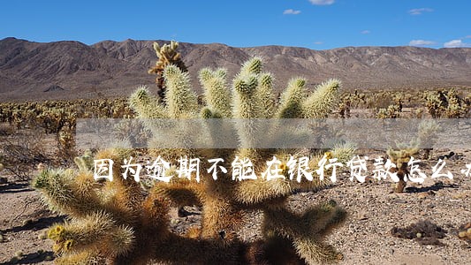 因为逾期不能在银行贷款怎么办