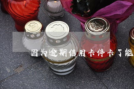 因为逾期信用卡停卡了能激活吗 因为逾期信用卡停卡了能激活吗