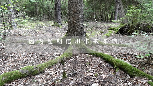 因为逾期信用卡被冻结 因为逾期信用卡被冻结