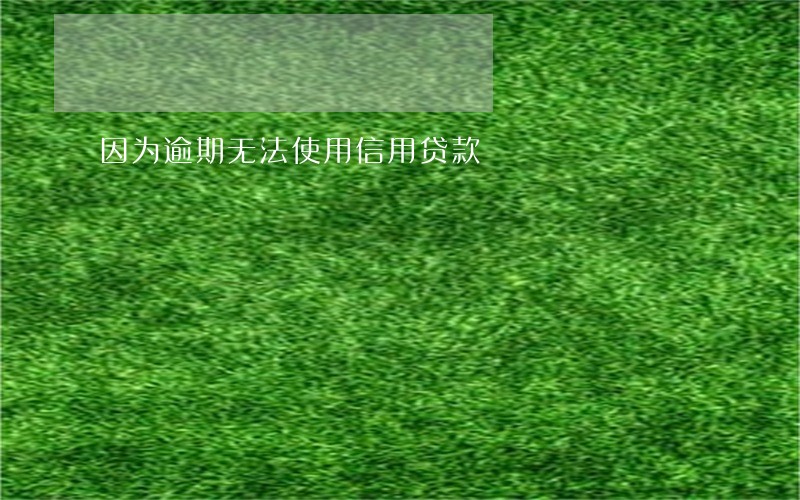 因为逾期无法使用信用贷款 因为逾期无法使用信用贷款