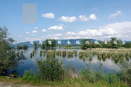 因为逾期来短信说要我23号出庭 因为逾期来短信说要我23号出庭