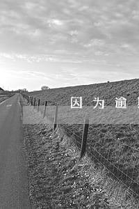 因为逾期花呗信用很差 因为逾期花呗信用很差