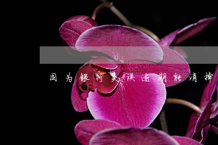 因为银行失误逾期能消掉吗 因为银行失误逾期能消掉吗
