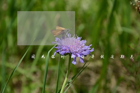因为银行的错导致逾期怎么办 因为银行的错导致逾期怎么办