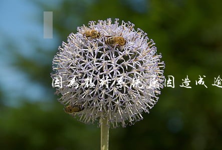 因为银行系统原因造成逾期一天 因为银行系统原因造成逾期一天
