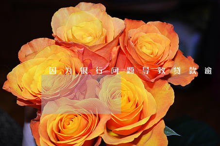 因为银行问题导致贷款逾期 因为银行问题导致贷款逾期