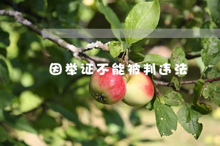 因举证不能被判违法