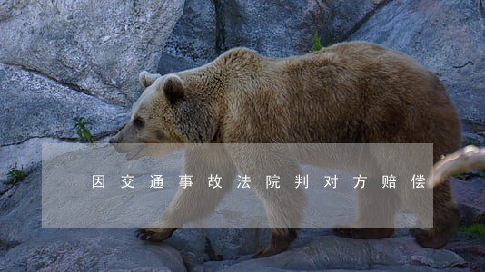 因交通事故法院判对方赔偿 因交通事故法院判对方赔偿