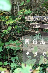 因信息披露违法赔偿股民/2023020430542