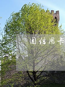因信用卡年费造成的逾期 因信用卡年费造成的逾期
