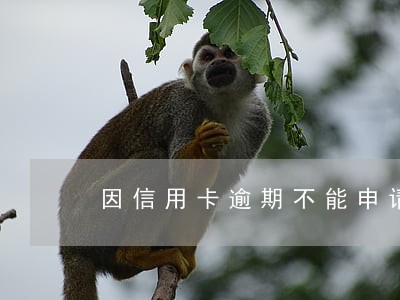 因信用卡逾期不能申请房贷 因信用卡逾期不能申请房贷