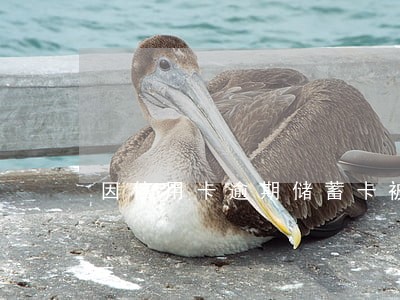 因信用卡逾期储蓄卡被冻结 因信用卡逾期储蓄卡被冻结