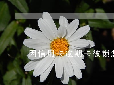 因信用卡逾期卡被锁怎么开通 因信用卡逾期卡被锁怎么开通
