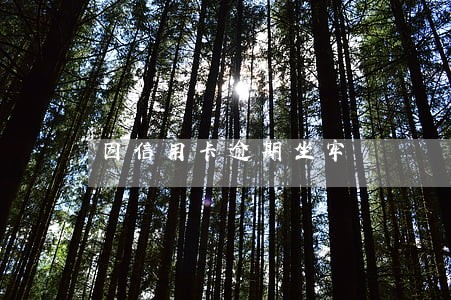 因信用卡逾期坐牢