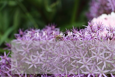 因信用卡逾期坐牢的经历
