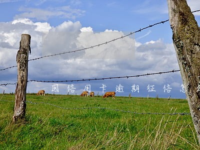 因信用卡逾期征信怎么办 因信用卡逾期征信怎么办
