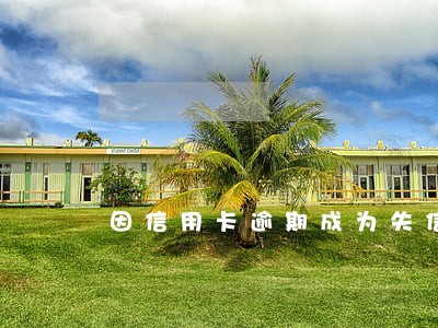 因信用卡逾期成为失信被执行人数