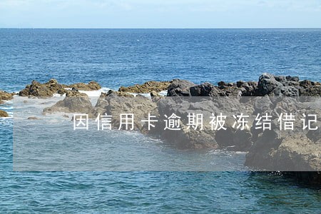 因信用卡逾期被冻结借记卡 因信用卡逾期被冻结借记卡
