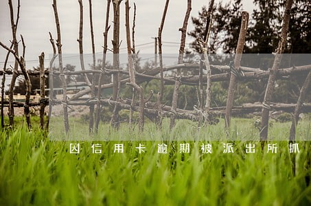 因信用卡逾期被派出所抓了