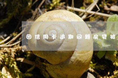 因信用卡逾期问题房贷被拒 因信用卡逾期问题房贷被拒
