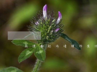 因债务起诉请律师有什么好处