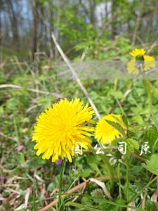 因公司原因造成的网贷逾期 因公司原因造成的网贷逾期