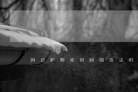 因公护照延时回国违法吗 因公护照延时回国违法吗