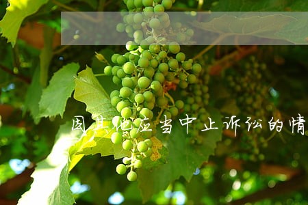 因其他应当中止诉讼的情形 因其他应当中止诉讼的情形