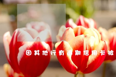 因其他行有逾期信用卡被冻结 因其他行有逾期信用卡被冻结