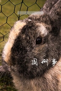 因刑事信用卡被盗刷造成逾期 因刑事信用卡被盗刷造成逾期