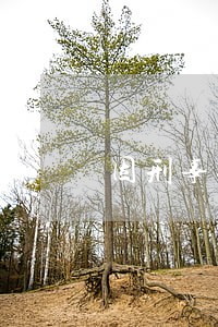 因刑事拘留导致信用卡逾期 因刑事拘留导致信用卡逾期