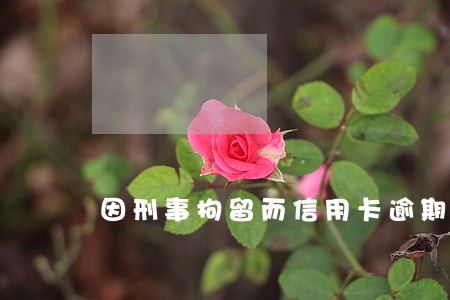 因刑事拘留而信用卡逾期 因刑事拘留而信用卡逾期