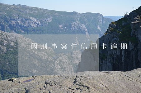 因刑事案件信用卡逾期 因刑事案件信用卡逾期