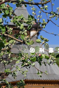 因刑事案件导致信用卡逾期 因刑事案件导致信用卡逾期