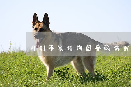 因刑事案件拘留导致信用卡逾期 因刑事案件拘留导致信用卡逾期