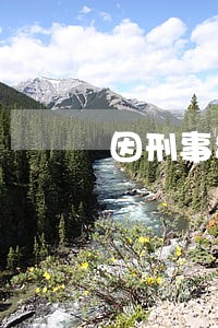 因刑事犯罪造成信用卡逾期 因刑事犯罪造成信用卡逾期