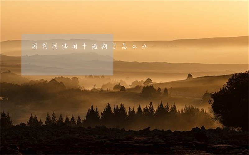 因判刑信用卡逾期了怎么办 因判刑信用卡逾期了怎么办