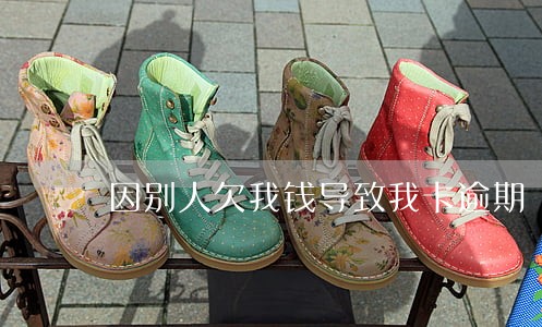 因别人欠我钱导致我卡逾期