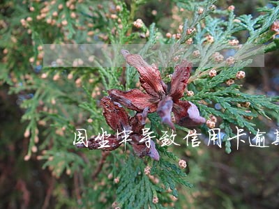 因坐牢导致信用卡逾期上征信