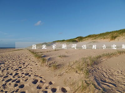 因坐牢期间信用卡逾期