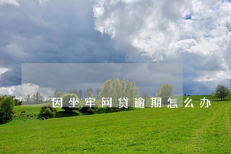 因坐牢网贷逾期怎么办 因坐牢网贷逾期怎么办