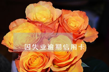 因失业逾期信用卡 因失业逾期信用卡