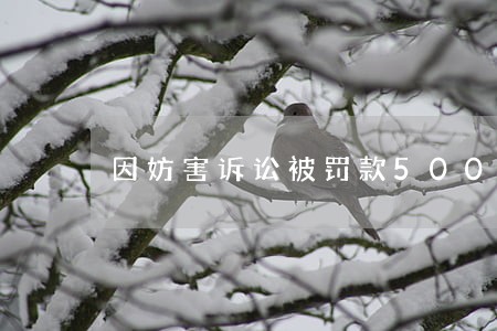 因妨害诉讼被罚款5000元 因妨害诉讼被罚款5000元