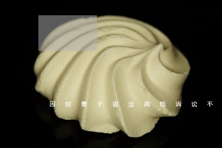 因对妻子提出离婚诉讼不满 因对妻子提出离婚诉讼不满