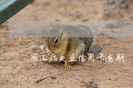 因工作失业信用卡逾期